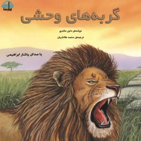 گربه های وحشی